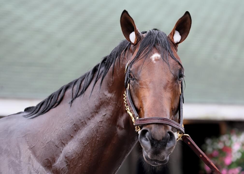 #1. Epicenter (tie)